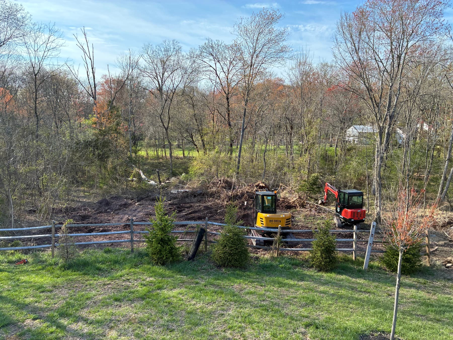 Mini excavators working a cleared lot edge with newly planted evergreens and a staked shade tree in a residential yard.